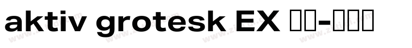 aktiv grotesk EX 字体字体转换